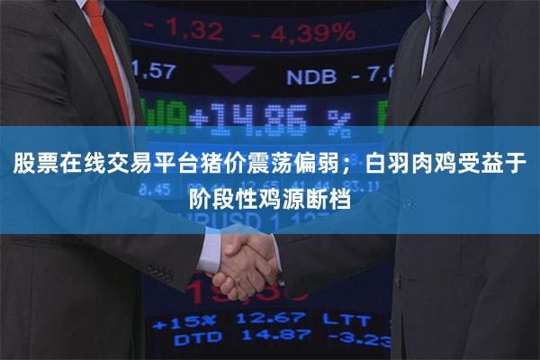 股票在线交易平台猪价震荡偏弱；白羽肉鸡受益于阶段性鸡源断档