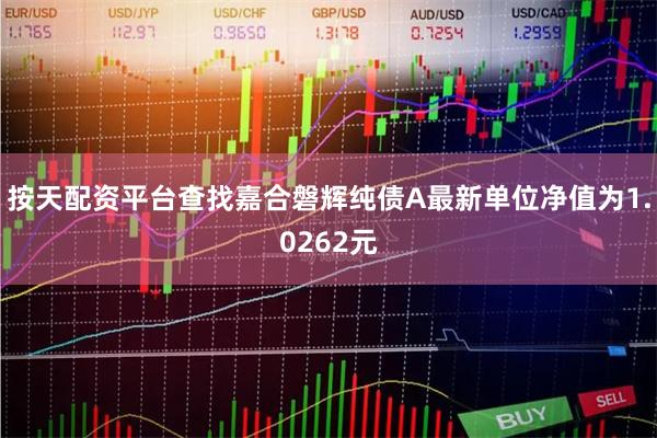 按天配资平台查找嘉合磐辉纯债A最新单位净值为1.0262元