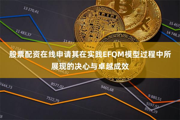 股票配资在线申请其在实践EFQM模型过程中所展现的决心与卓越成效